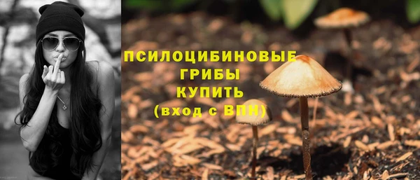 ПСИЛОЦИБИНОВЫЕ ГРИБЫ Россошь