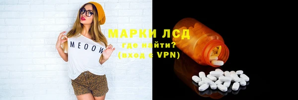 стаф Ростов