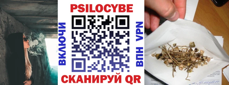 Купить закладки Тайшет Псилоцибиновые грибы MAGIC MUSHROOMS